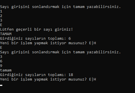 Do While Örnekleri 3